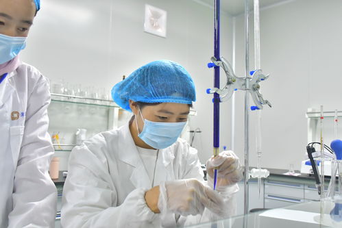 沛華農(nóng)業(yè)大方生產(chǎn)基地建成投產(chǎn) 做強(qiáng)沛華集團(tuán)刺梨產(chǎn)業(yè) 組織文化藝術(shù)交流活動(dòng)